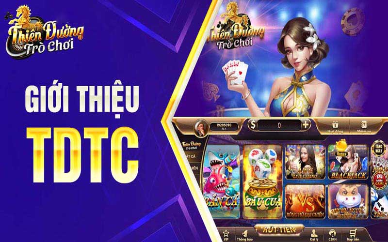 Giới thiệu chung về TDTC