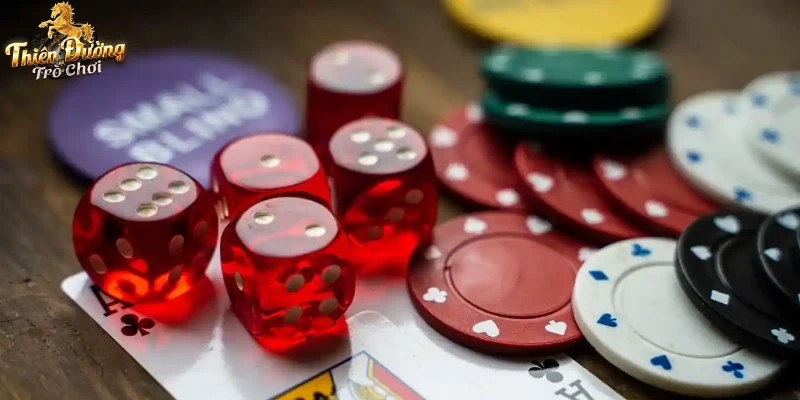 Chương trình khuyến mãi hấp dẫn cho thành viên mới