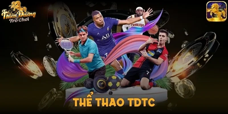 Hình ảnh giao diện trực quan của Thể thao tdtc trên màn hình máy tính