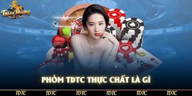 Mô phỏng người chơi tham khảo Hướng dẫn tdtc trải nghiệm đa dạng trò chơi
