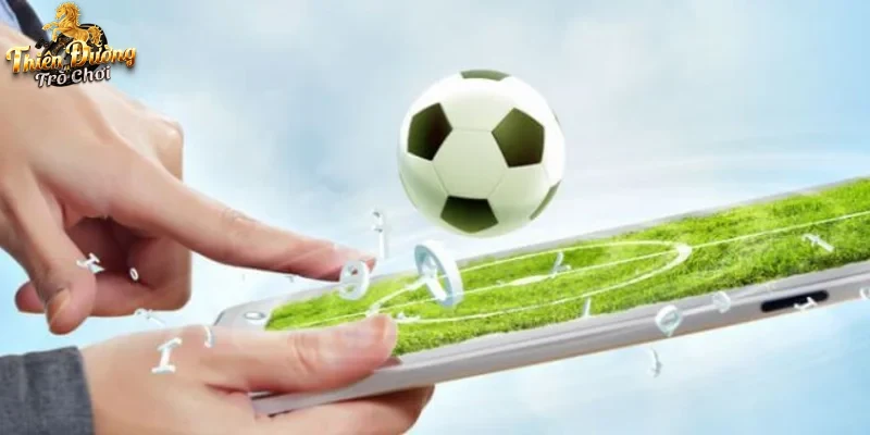 Người chơi trải nghiệm soi kèo bóng đá nhà cái trên thiết bị di động
