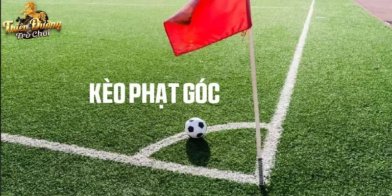 Người chơi trải nghiệm soi kèo phạt góc trên di động.